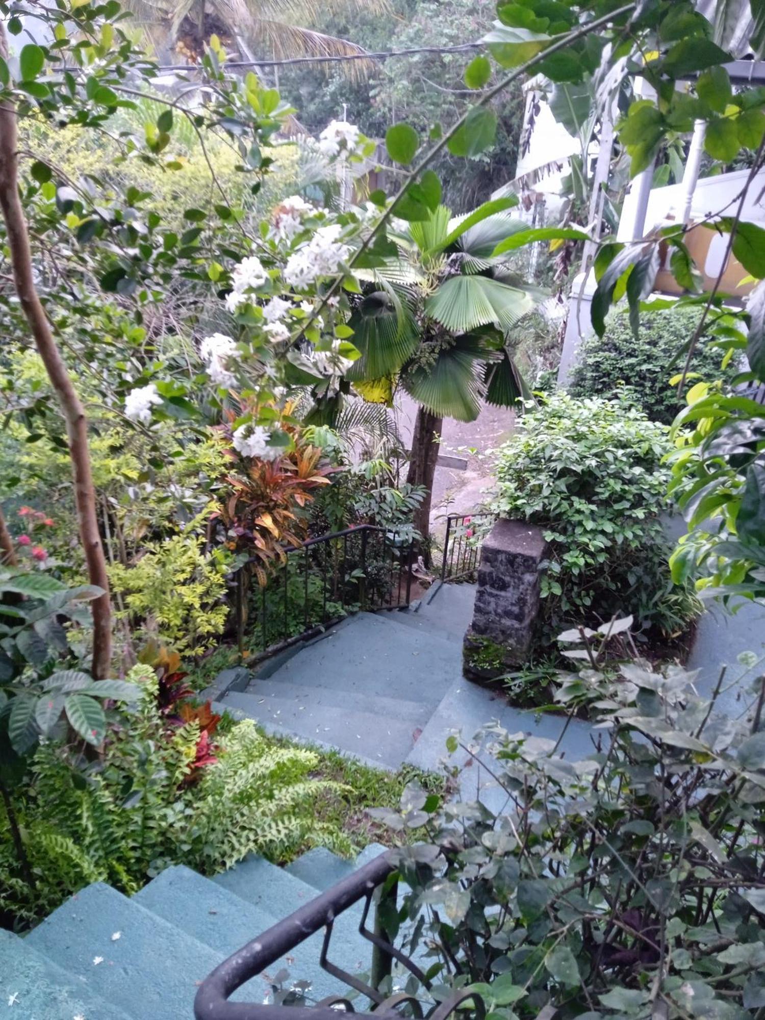 Alex Home Stay Kandy Exterior photo